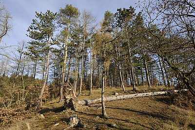 Obrázek č. 13 – objektiv AF-S 14-24mm f/2,8 G, čas 1/250s, clona f/8, ISO 200