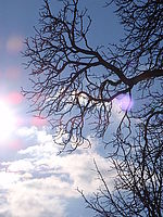 Náhled, f/7.1, 1/1000 s, ISO: 64, F102 mm (35 mm ekv.) 