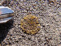 Náhled, f/6.3, 1/160 s, ISO: 64, F36 mm (35 mm ekv.) 