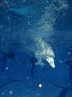 Náhled, f/3.5, 1/60 s, ISO: 160, F28 mm (35 mm ekv.) 