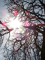 Náhled f/7.7, 1/1000 s, ISO: 64, F112 mm (35 mm ekv.) Vyrovnání bílé: Automatické 