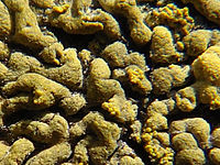 (R) Výřez, f/5.6, 1/400 s, ISO: 80, Ohnisková vzdálenost: 5.80 mm 