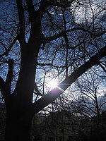 Náhled, f/5.6, 1/800 s, ISO: 80, Ohnisková vzdálenost: 5.00 mm Náhled, f/5.6, 1/800 s, ISO: 80, Ohnisková vzdálenost: 5.00 mm