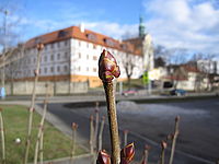 Náhled, f/5.6, 1/200 s, ISO: 80, Ohnisková vzdálenost: 5.00 mm Náhled, f/5.6, 1/200 s, ISO: 80, Ohnisková vzdálenost: 5.00 mm
