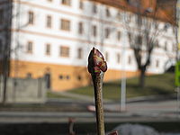 Náhled, f/5.0, 1/640 s, ISO: 80, Ohnisková vzdálenost: 14.84 mm Náhled, f/5.0, 1/640 s, ISO: 80, Ohnisková vzdálenost: 14.84 mm