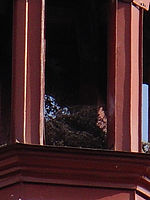 (R) Výřez, f/5.6, 1/400 s, ISO: 80, Ohnisková vzdálenost: 29.00 mm (R) Výřez, f/5.6, 1/400 s, ISO: 80, Ohnisková vzdálenost: 29.00 mm