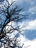 (R) Výřez, f/8.0, 1/320 s, ISO: 80, Ohnisková vzdálenost: 6.20 mm 