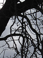 (R) Výřez, f/8.0, 1/320 s, ISO: 80, Ohnisková vzdálenost: 6.20 mm 