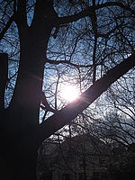 Náhled, f/8.0, 1/500 s, ISO: 80, Ohnisková vzdálenost: 6.20 mm 