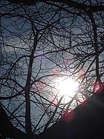 Náhled, f/16, 1/640 s, ISO: 80, Ohnisková vzdálenost: 24.80 mm 