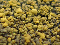 (R) Výřez, f/2.7, 1/25 s, ISO: 80, Ohnisková vzdálenost: 6.20 mm 