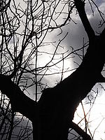 Náhled, f/8.0, 1/1000 s, ISO: 100,Ohnisková vzdálenost (EQ35mm): 114 mm Náhled, f/8.0, 1/1000 s, ISO: 100,Ohnisková vzdálenost (EQ35mm): 114 mm