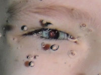 (R) Výřez, f/3.5, 1/60 s, ISO: 100, Ohnisková vzdálenost (EQ35mm): 38 mm 