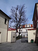Barevný režim