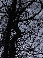 (R) Výřez, f/8.0, 1/1250 s, ISO: 80, Ohnisková vzdálenost: 5.00 mm 
