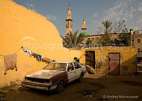 Zátiší v Městě mrtvých