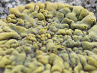 (R) Výřez, f/2.8, 1/60 s, ISO: 125, Ohnisková vzdálenost: 6.20 mm, Blesk podrobně: Ne, Automatický m