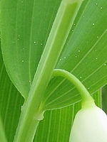 (R) Výřez, f/2.8, 1/320 s, ISO: 80, Ohnisková vzdálenost: 6.20 mm, Blesk podrobně: Ne, Vypnutý blesk