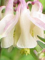 (R) Výřez, f/4.9, 1/160 s, ISO: 125, Ohnisková vzdálenost: 18.60 mm, Blesk podrobně: Ne, Vypnutý ble