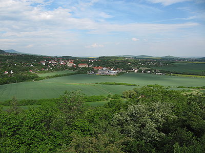 (R) Originál, f/4.0, 1/500 s, ISO: 80, Ohnisková vzdálenost: 5.00 mm 