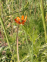 (R) Výřez, f/2.6, 1/800 s, ISO: 64, Ohnisková vzdálenost (EQ35mm): 28 mm 