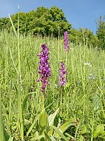 Náhled, f/2.6, 1/640 s, ISO: 64, Ohnisková vzdálenost (EQ35mm): 28 mm 