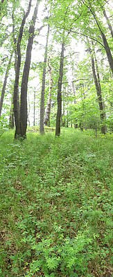 (R) Originál, f/2.8, 1/20 s, ISO: 125, Ohnisková vzdálenost (EQ35mm): 26 mm 