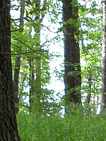 (R) Výřez, f/2.8, 1/30 s, ISO: 64, Ohnisková vzdálenost (EQ35mm): 26 mm 