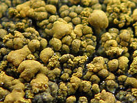 (R) Výřez, f/3.5, 1/30 s, ISO: 125, Ohnisková vzdálenost (EQ35mm): 51 mm 