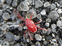 (R) Výřez, f/3.5, 1/60 s, ISO: 100, Ohnisková vzdálenost (EQ35mm): 51 mm 