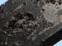 (R) Výřez, f/5.0, 1/400 s, ISO: 125, Ohnisková vzdálenost (EQ35mm): 676 mm 