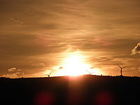 Náhled, f/8.0, 1/2000 s, ISO: 64, Ohnisková vzdálenost (EQ35mm): 392 mm 