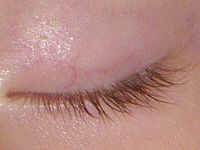 (R) Výřez, f/5.0, 1/250 s, ISO: 250, Ohnisková vzdálenost (EQ35mm): 676 mm 