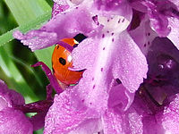 (R) Výřez, f/3.6, 1/500 s, ISO: 100, Ohnisková vzdálenost (EQ35mm): 37 mm 