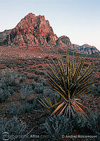 Red Rock Canyon, Nevada, 10 minut před východem slunce