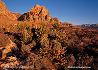 Red Rock Canyon asi 40 minut po východu slunce
