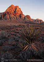 První světlo, Red Rock Canyon, Nevada, východ slunce