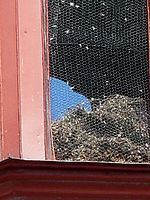 (R) Výřez, f/5.8, 1/180 s, ISO: 80, Ohnisková vzdálenost (EQ35mm): 240 mm 