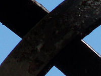 (R) Výřez, f/5.8, 1/350 s, ISO: 80, Ohnisková vzdálenost (EQ35mm): 240 mm 