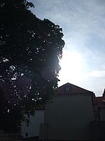 Náhled, f/9.0, 1/500 s, ISO: 100, Ohnisková vzdálenost (EQ35mm): 29 mm 