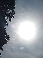 Náhled, f/14, 1/1500 s, ISO: 100, Ohnisková vzdálenost (EQ35mm): 145 mm 