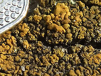 (R) Výřez, f/9.0, 1/150 s, ISO: 100, Ohnisková vzdálenost (EQ35mm): 29 mm 