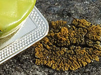 (R) Výřez, f/14, 1/100 s, ISO: 100, Ohnisková vzdálenost (EQ35mm): 145 mm 