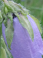 (R) Výřez, f/9.0, 1/100 s, ISO: 400, Ohnisková vzdálenost (EQ35mm): 29 mm 