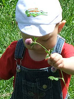 (R) Výřez, f/4.7, 1/480 s, ISO: 100, Ohnisková vzdálenost (EQ35mm): 114 mm 