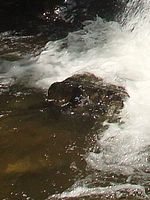 (R) Výřez, f/9.0, 1/280 s, ISO: 200, Ohnisková vzdálenost (EQ35mm): 29 mm 