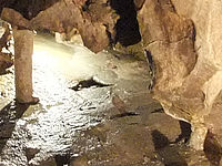 (R) Výřez, f/3.3, 1/8 s, ISO: 1600, Ohnisková vzdálenost (EQ35mm): 29 mm 