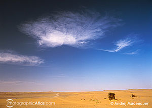 Ain El Serw, Západní poušť, Egypt