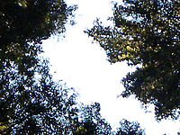 (R) Výřez, f/2.8, 1/268 s, ISO: 176, Ohnisková vzdálenost (EQ35mm): 26 mm 