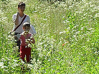 (R) Výřez, f/8.4, 1/90 s, ISO: 80, Ohnisková vzdálenost (EQ35mm): 35 mm 